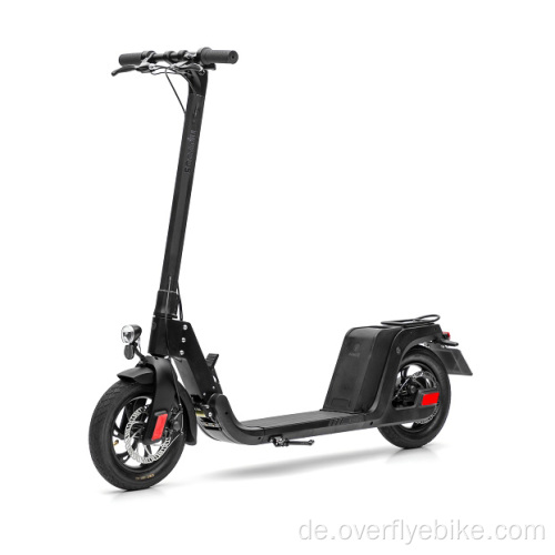 ES06 Preisgekrönter E-Scooter